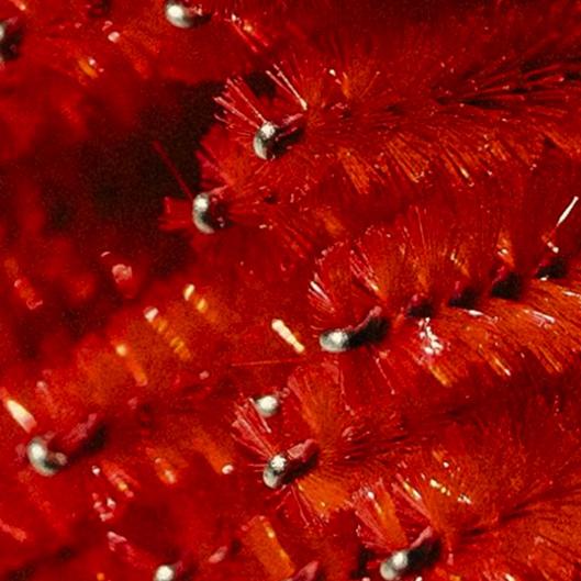 Brow Lamination & Lash Lift Duo